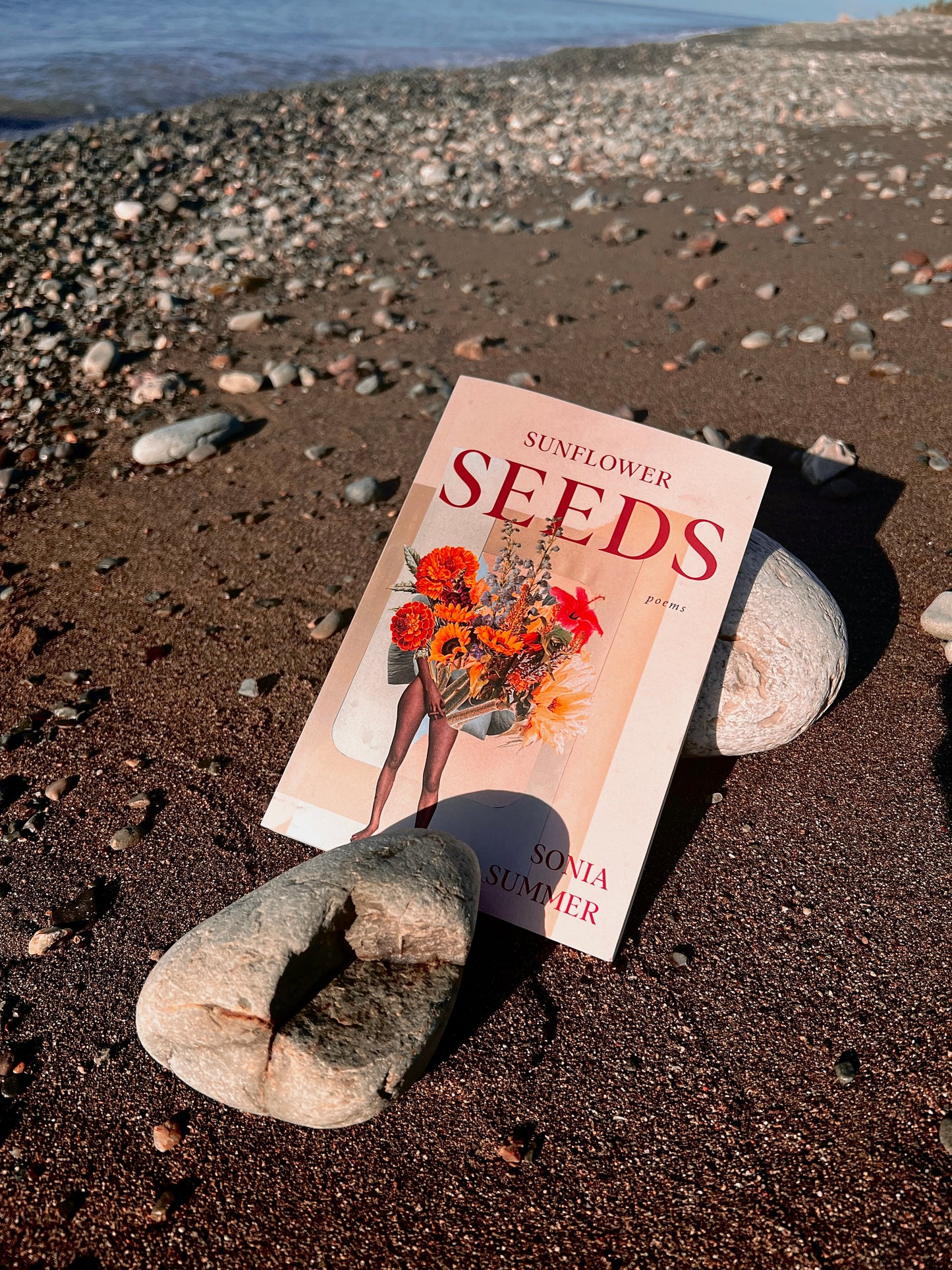 Sunflower Seeds (Wholesale Order)